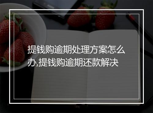 提钱购逾期处理方案怎么办,提钱购逾期还款解决