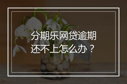 分期乐网贷逾期还不上怎么办？