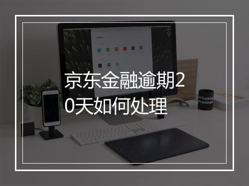 京东金融逾期20天如何处理