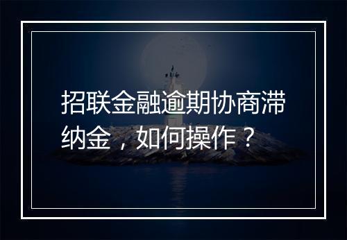 招联金融逾期协商滞纳金，如何操作？