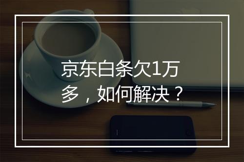 京东白条欠1万多，如何解决？