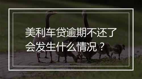 美利车贷逾期不还了会发生什么情况？