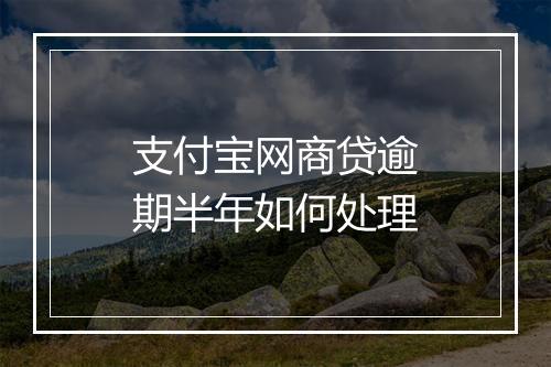 支付宝网商贷逾期半年如何处理