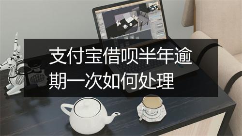 支付宝借呗半年逾期一次如何处理