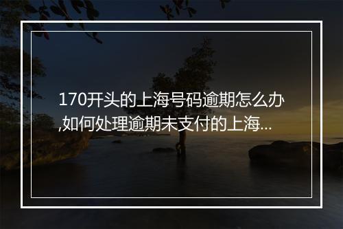 170开头的上海号码逾期怎么办,如何处理逾期未支付的上海手机号码