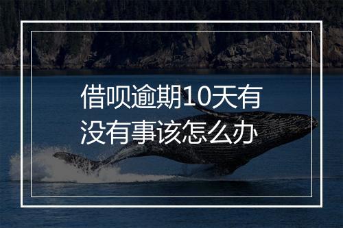 借呗逾期10天有没有事该怎么办