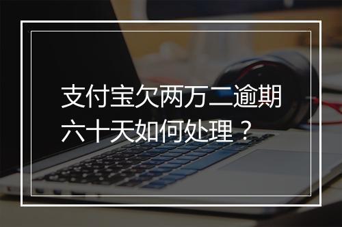 支付宝欠两万二逾期六十天如何处理？
