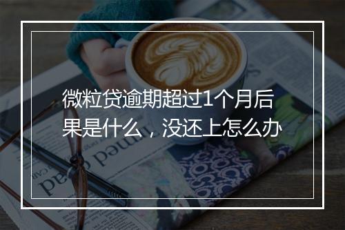 微粒贷逾期超过1个月后果是什么，没还上怎么办