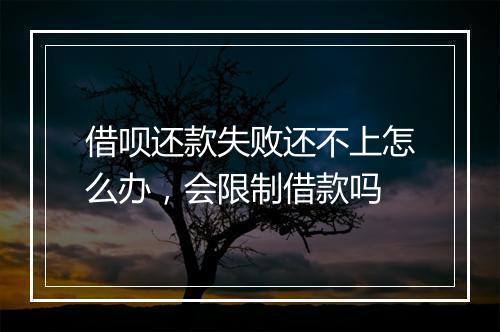 借呗还款失败还不上怎么办，会限制借款吗