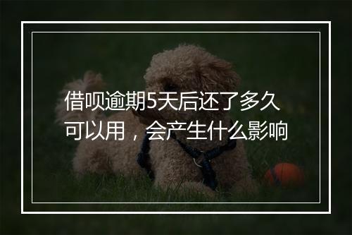 借呗逾期5天后还了多久可以用，会产生什么影响