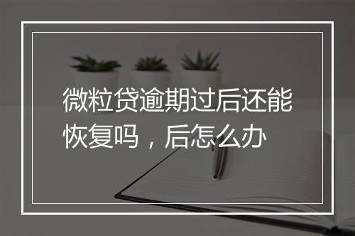 微粒贷逾期过后还能恢复吗，后怎么办