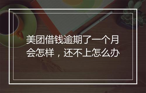美团借钱逾期了一个月会怎样，还不上怎么办
