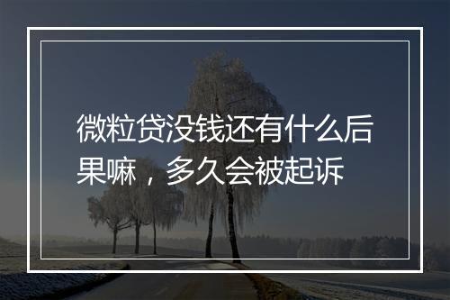 微粒贷没钱还有什么后果嘛，多久会被起诉