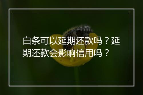 白条可以延期还款吗？延期还款会影响信用吗？