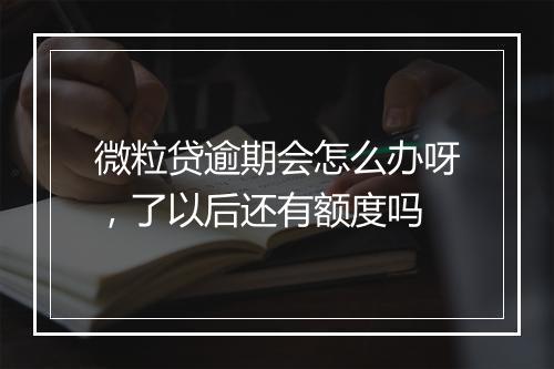 微粒贷逾期会怎么办呀，了以后还有额度吗