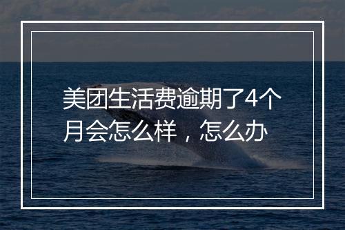 美团生活费逾期了4个月会怎么样，怎么办