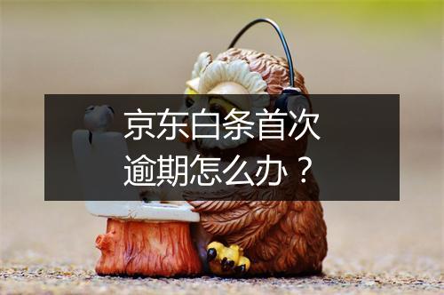 京东白条首次逾期怎么办？