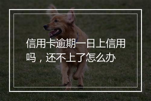 信用卡逾期一日上信用吗，还不上了怎么办