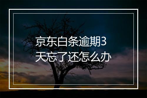 京东白条逾期3天忘了还怎么办