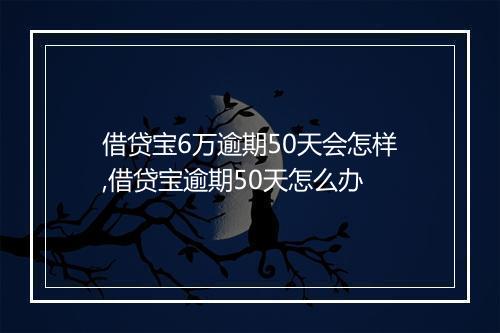 借贷宝6万逾期50天会怎样,借贷宝逾期50天怎么办
