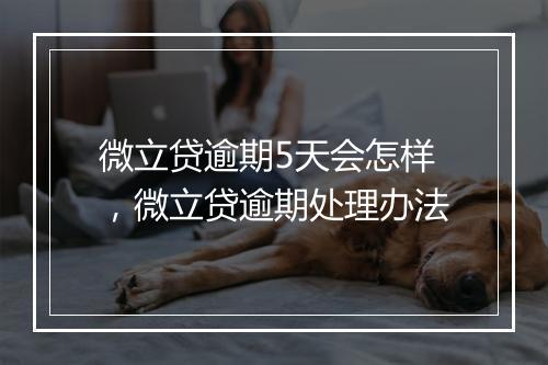 微立贷逾期5天会怎样，微立贷逾期处理办法