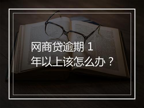 网商贷逾期 1 年以上该怎么办？
