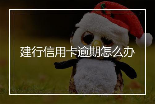 建行信用卡逾期怎么办