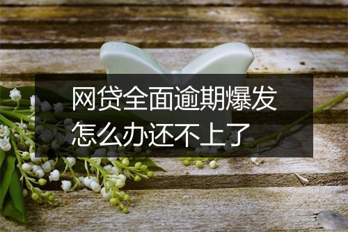 网贷全面逾期爆发怎么办还不上了
