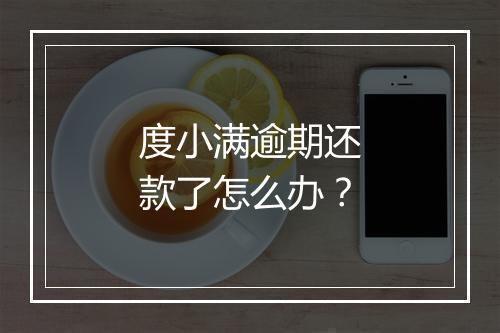 度小满逾期还款了怎么办？