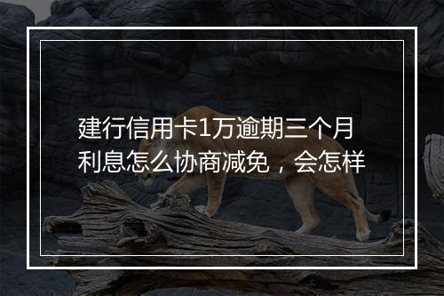 建行信用卡1万逾期三个月利息怎么协商减免，会怎样