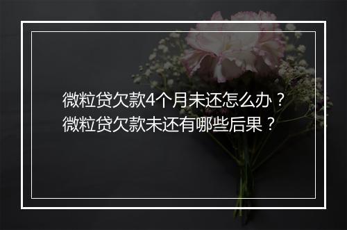 微粒贷欠款4个月未还怎么办？微粒贷欠款未还有哪些后果？