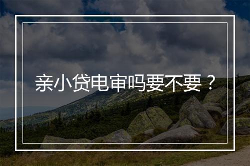 亲小贷电审吗要不要？