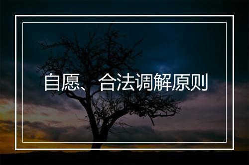 自愿、合法调解原则