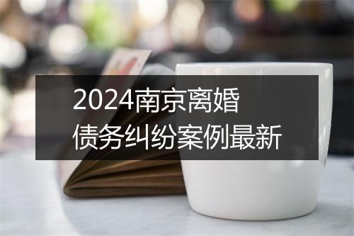 2024南京离婚债务纠纷案例最新