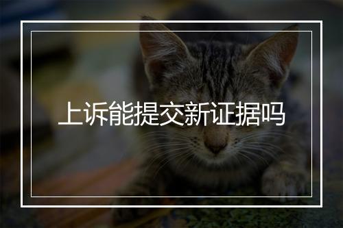上诉能提交新证据吗