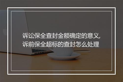 诉讼保全查封金额确定的意义,诉前保全超标的查封怎么处理
