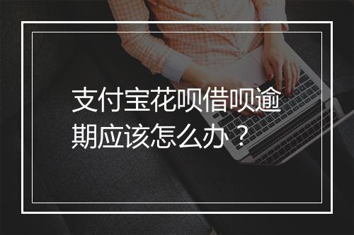 支付宝花呗借呗逾期应该怎么办？