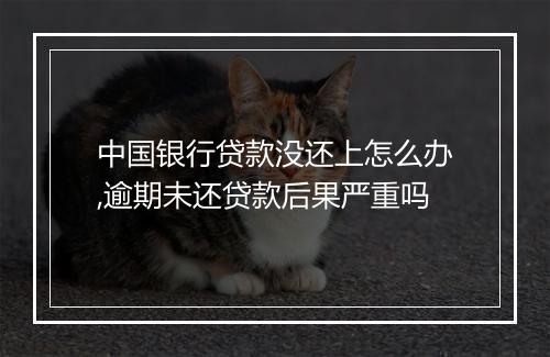 中国银行贷款没还上怎么办,逾期未还贷款后果严重吗