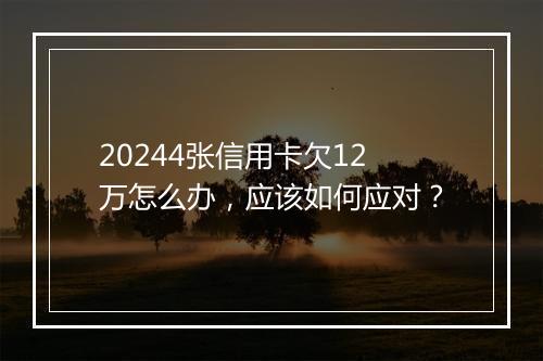 20244张信用卡欠12万怎么办，应该如何应对？