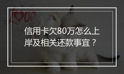 信用卡欠80万怎么上岸及相关还款事宜？