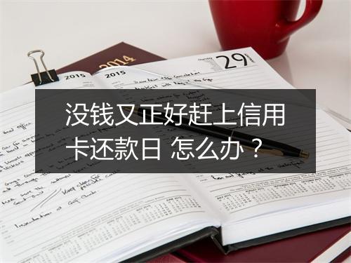 没钱又正好赶上信用卡还款日 怎么办？