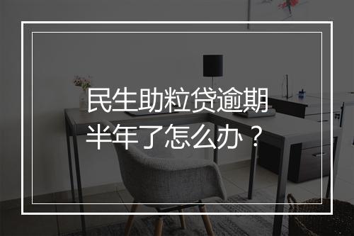 民生助粒贷逾期半年了怎么办？