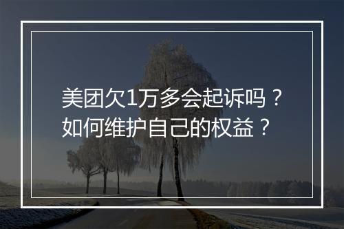 美团欠1万多会起诉吗？如何维护自己的权益？