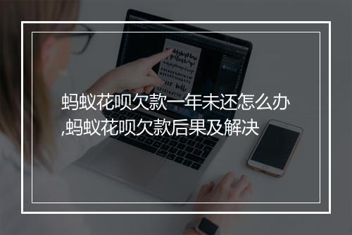 蚂蚁花呗欠款一年未还怎么办,蚂蚁花呗欠款后果及解决