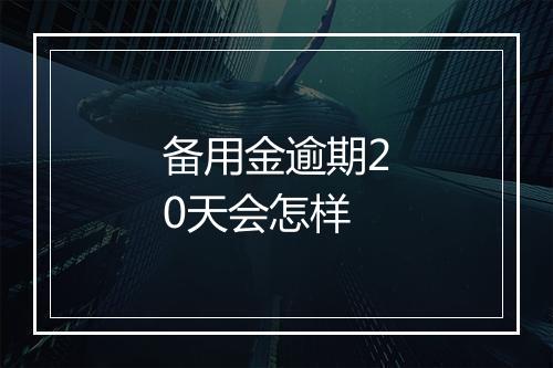 备用金逾期20天会怎样