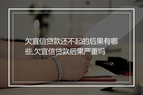 欠宜信贷款还不起的后果有哪些,欠宜信贷款后果严重吗