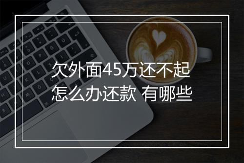 欠外面45万还不起怎么办还款 有哪些