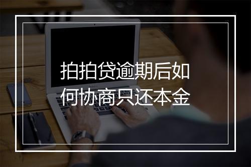 拍拍贷逾期后如何协商只还本金