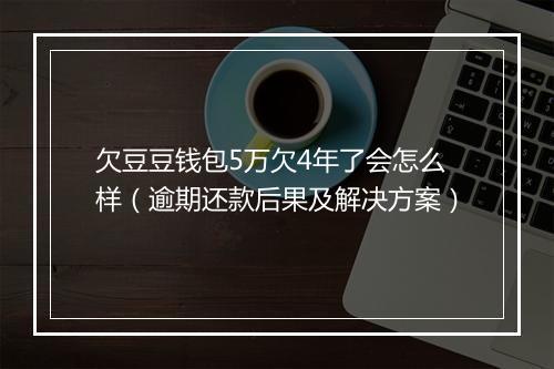 欠豆豆钱包5万欠4年了会怎么样（逾期还款后果及解决方案）
