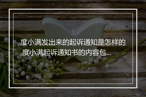 度小满发出来的起诉通知是怎样的,度小满起诉通知书的内容包括哪些
